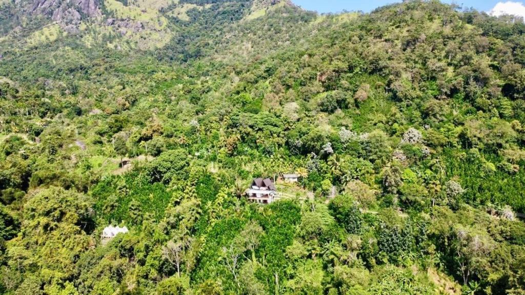 Eagle View Villa إيلا المظهر الخارجي الصورة